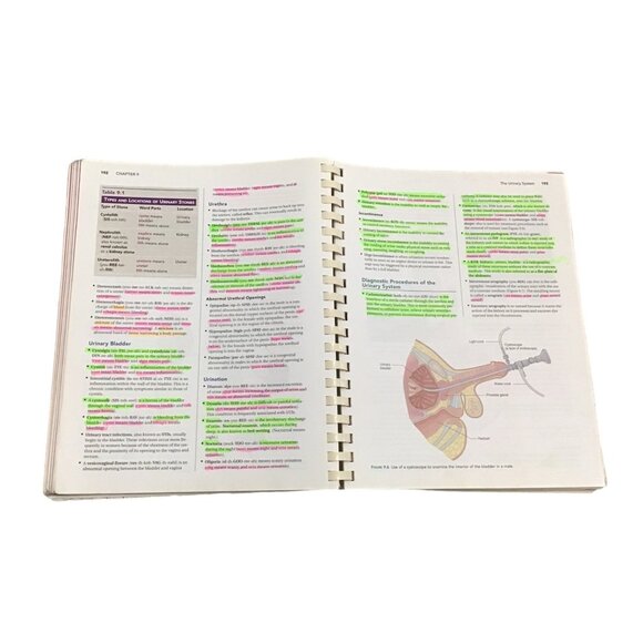 MEDICAL TERMINOLOGY FOR HEALTH PROFESSIONALS 4TH EDITION - Picture 3 of 5